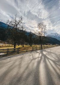 Road by bare trees against sky