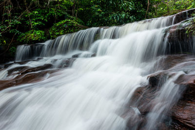 Scenic view of waterfall in forest