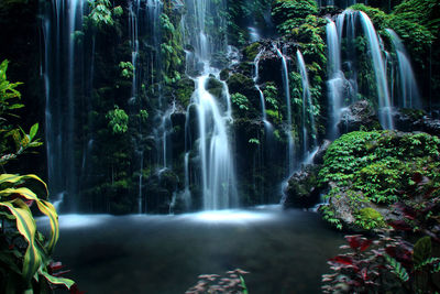 Scenic view of waterfall in forest