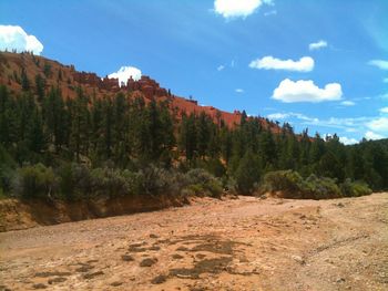 Scenic view of trees and mountains against sky