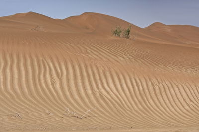 0233 chains of moving sand dunes cover the surface of the taklamakan desert. yutian-xinjiang -china.