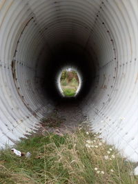 Close-up of tunnel