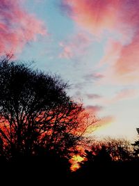 Silhouette of trees at sunset