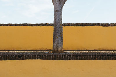 Tree trunk against yellow wall