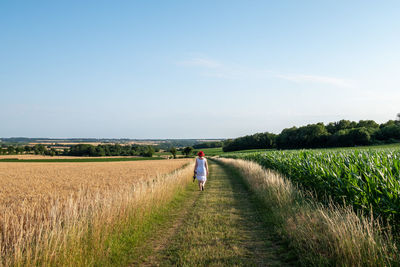 Land Field