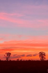 Silhouette trees on field against romantic sky at sunset