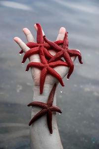 Close-up of red object over sea