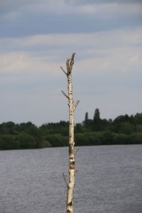 View of wooden post in lake against sky