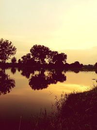 Silhouette of tree in lake during sunset