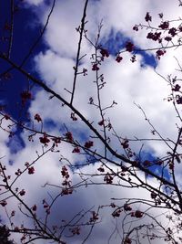 Low angle view of cloudy sky