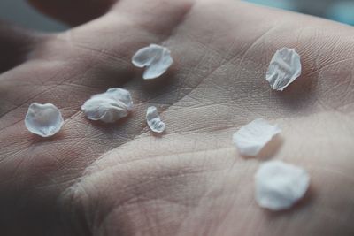 Close-up of hand holding paper