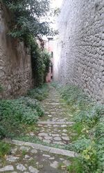 Narrow walkway leading to footpath