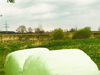 Scenic view of grass and trees against sky