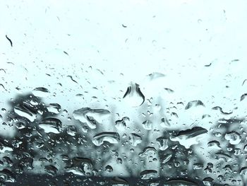Close-up of water drops on glass