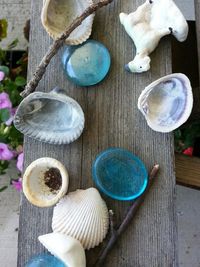 Close-up of food on table