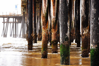 Wooden posts on pier over river