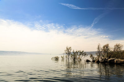 Scenic view of lake against sky at sunset