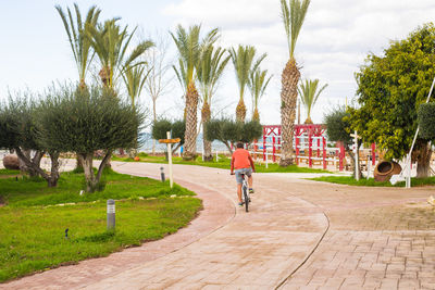 Rear view of man riding bicycle on footpath