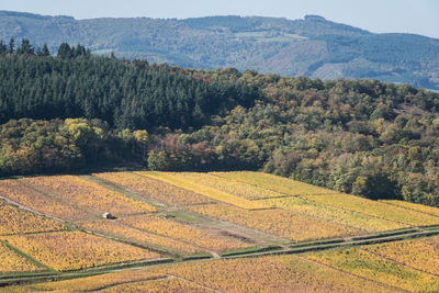 Scenic view of field against mountains