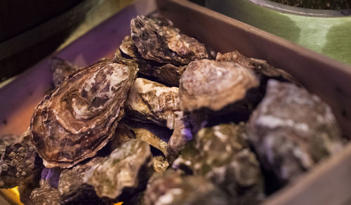 High angle view of meat in plate