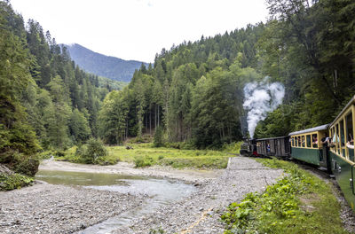 Mocanita steam train in maramures 