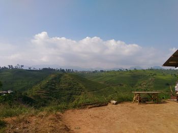 Cows on field against sky