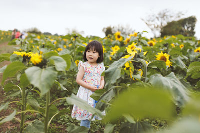 Girl standing amidst sunflowers