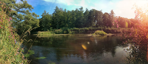 Scenic view of lake in forest against sky