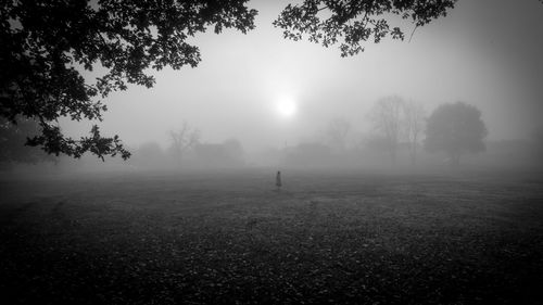 Silhouette of trees on field against sky