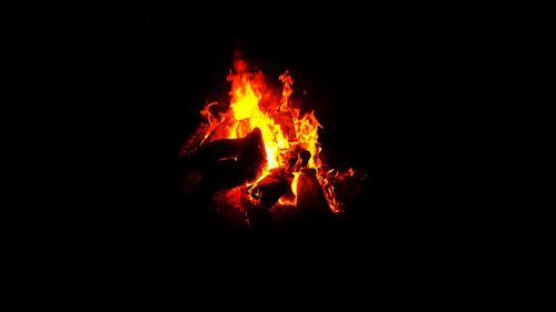Close-up of fire against black background