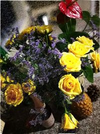 Close-up high angle view of flowers