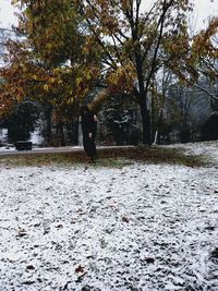 Man in autumn trees