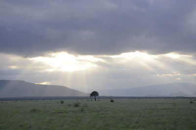 Scenic view of field against sky