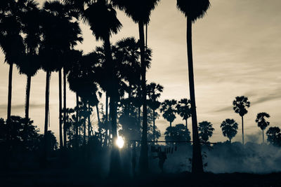 Silhouette palm trees against sky during sunset