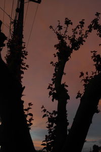 Low angle view of silhouette tree against sky at sunset