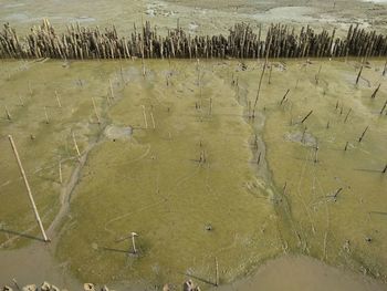 High angle view of water on field