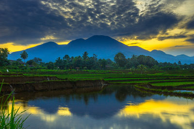 nature