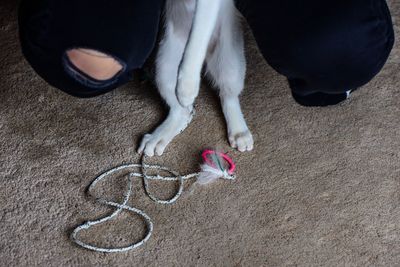 Low section of man with dog