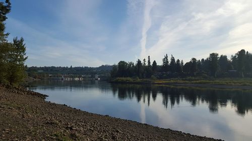 Reflection of trees in water