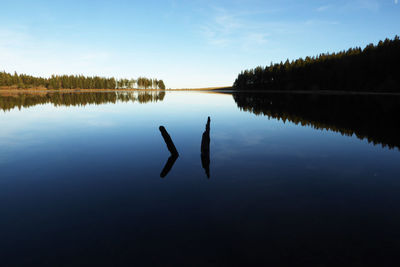 Reflection of silhouette trees in lake against sky