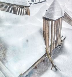 High angle view of lizard on snow