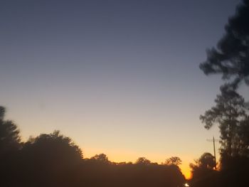 Low angle view of silhouette trees against sky during sunset