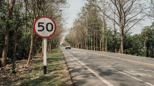 Road sign by trees in city