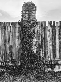 Old wooden post on land against sky