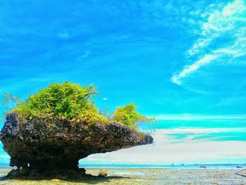 Tree by sea against blue sky