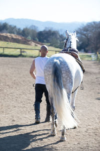 Rear view of man walking on field with horse