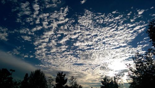 Low angle view of trees against cloudy sky