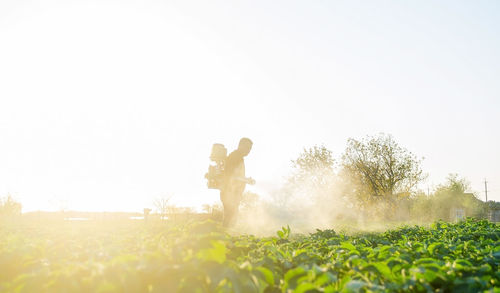 Farmer spraying plants with pesticides in the early morning. protecting against insect