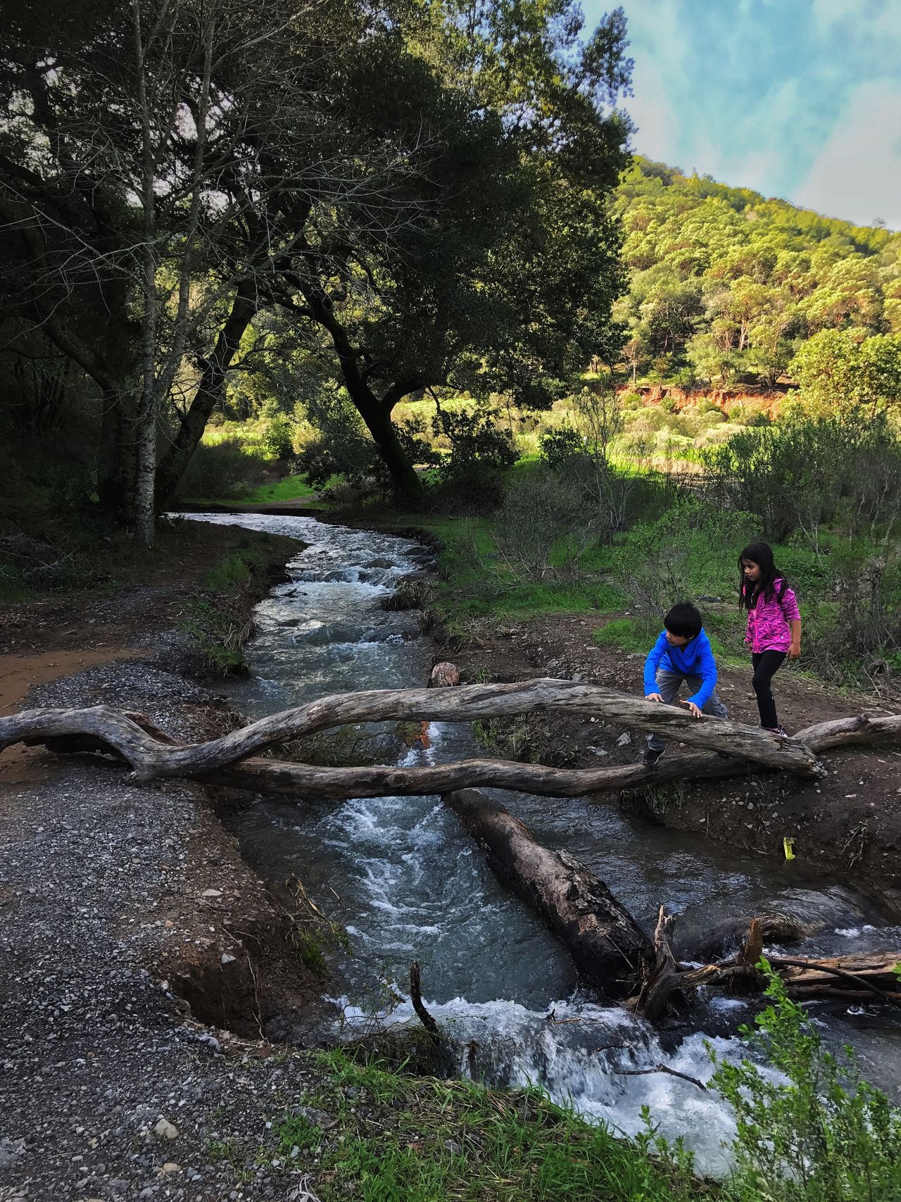 Arroyo de San JoseMarin Waterfall hike