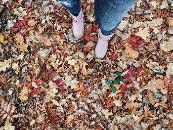 Low section of woman standing on autumn leaves